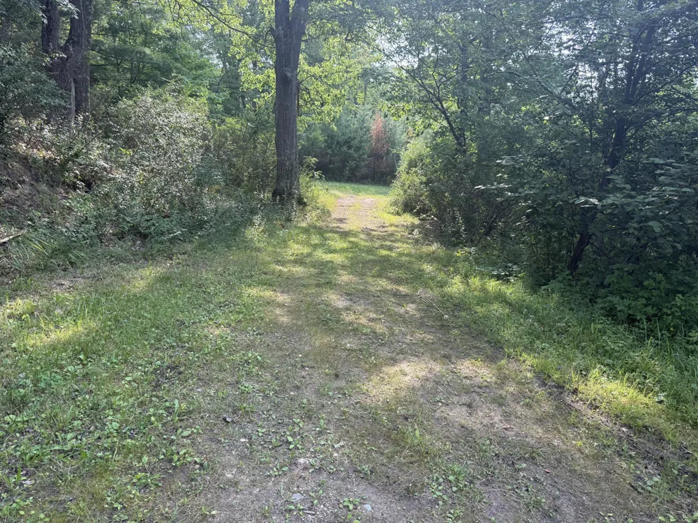 17370 160th Avenue Colfax Township, MI 49342