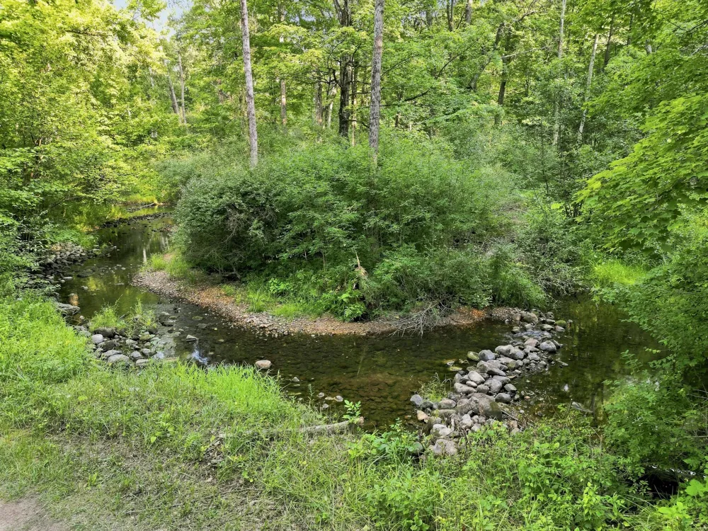 17370 160th Avenue Colfax Township, MI 49342