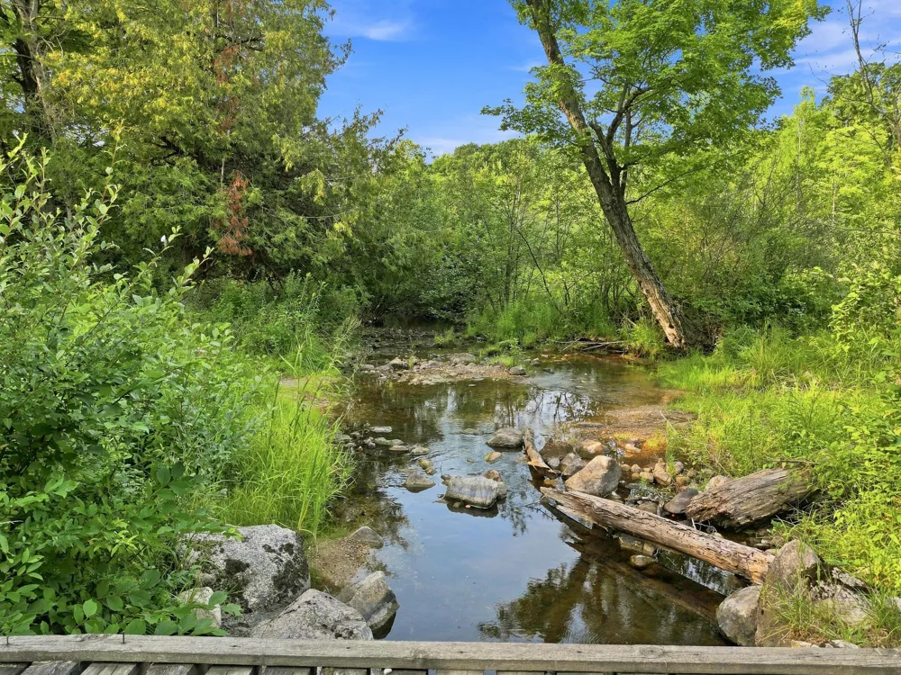 17370 160th Avenue Colfax Township, MI 49342