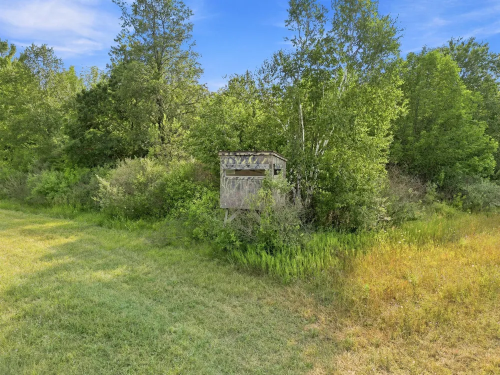 17370 160th Avenue Colfax Township, MI 49342