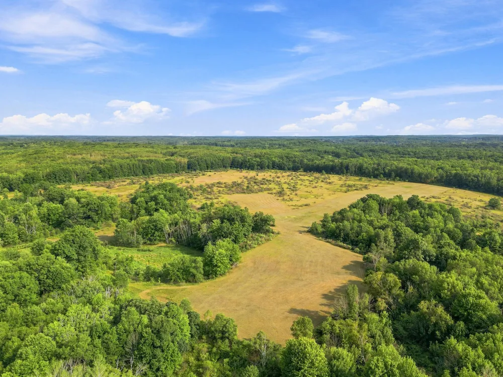 17370 160th Avenue Colfax Township, MI 49342