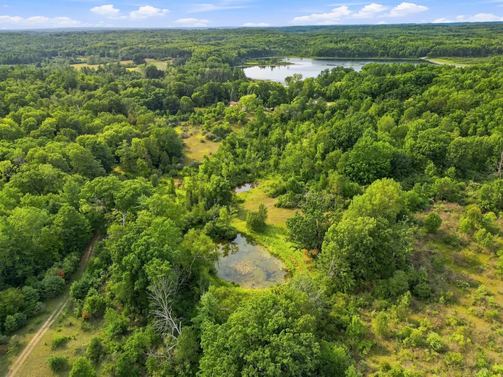 17370 160th Avenue Colfax Township, MI 49342