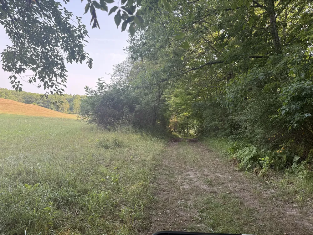 17370 160th Avenue Colfax Township, MI 49342