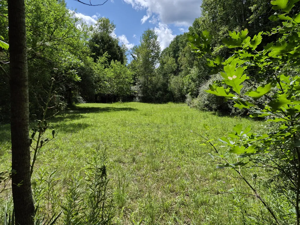 4107 E White River Drive Ferry Township, MI 49421