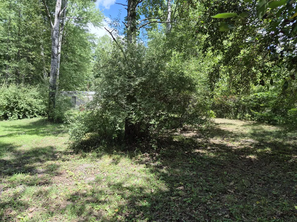 4107 E White River Drive Ferry Township, MI 49421