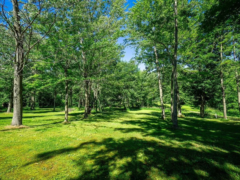 84 Thelen Drive Cheshire Township, MI 49055
