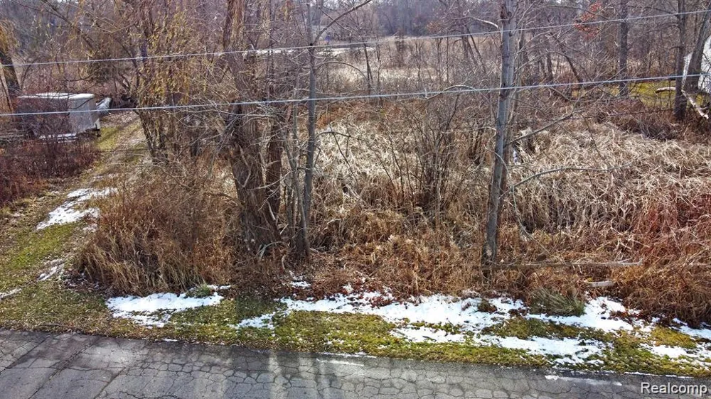 Annapolis Commerce Charter Township, MI 48382