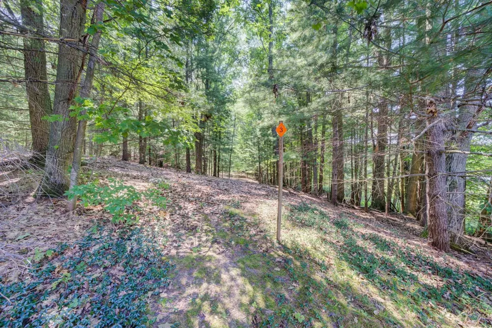 15495 E Pettengill Road Kasson Township, MI 49630