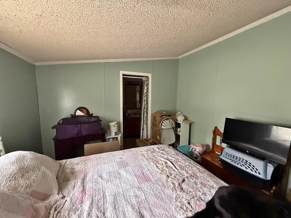 3140 Lake Of The Pines Drive Freeman Township, MI 48632