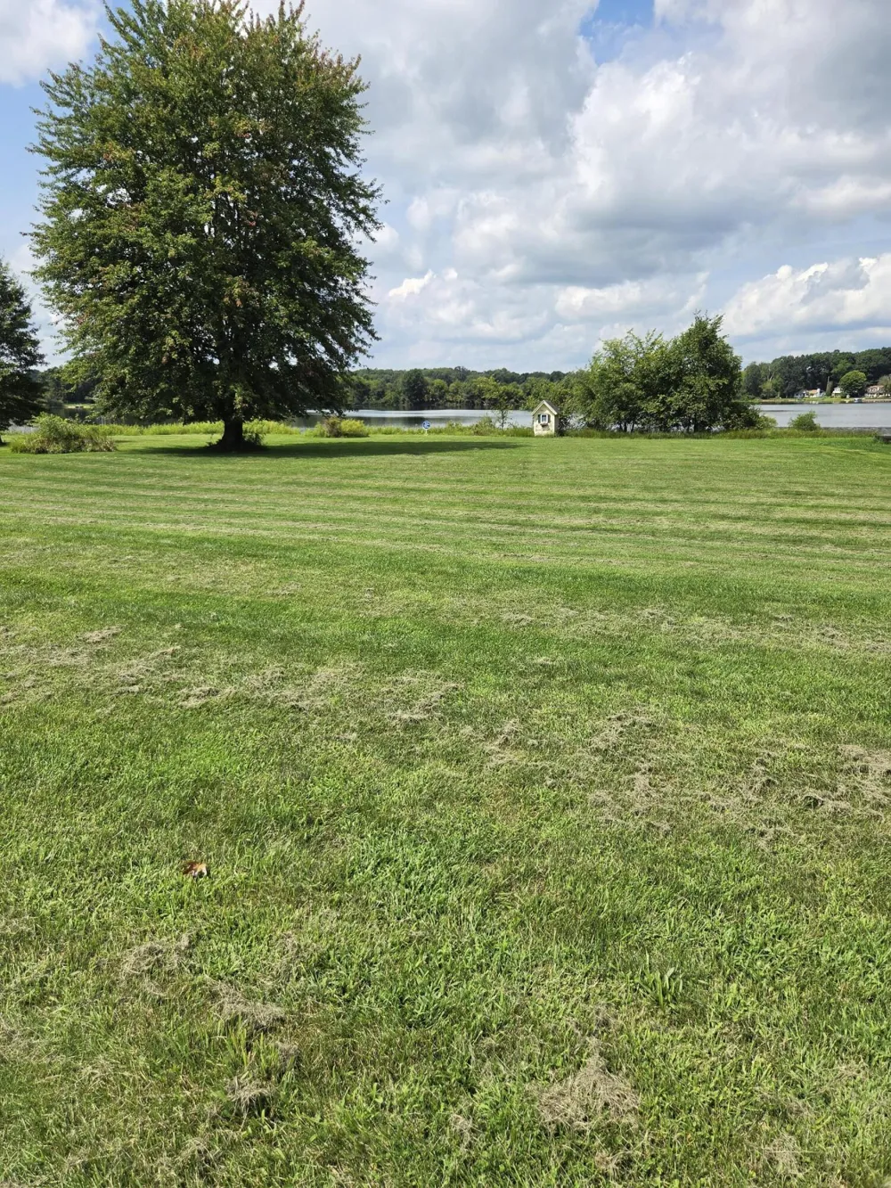 18541 26 1/2 Mile Road Clarence Township, MI 49224