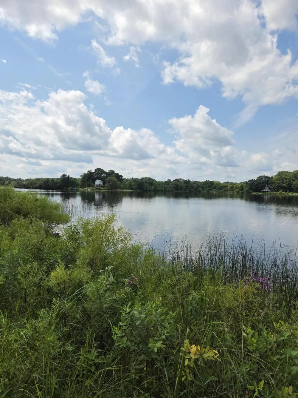 18541 26 1/2 Mile Road Clarence Township, MI 49224
