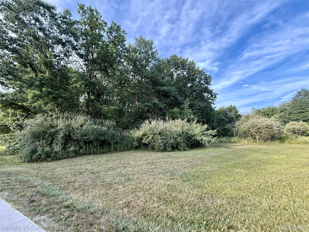 1 Wayne Romulus City, MI 48174