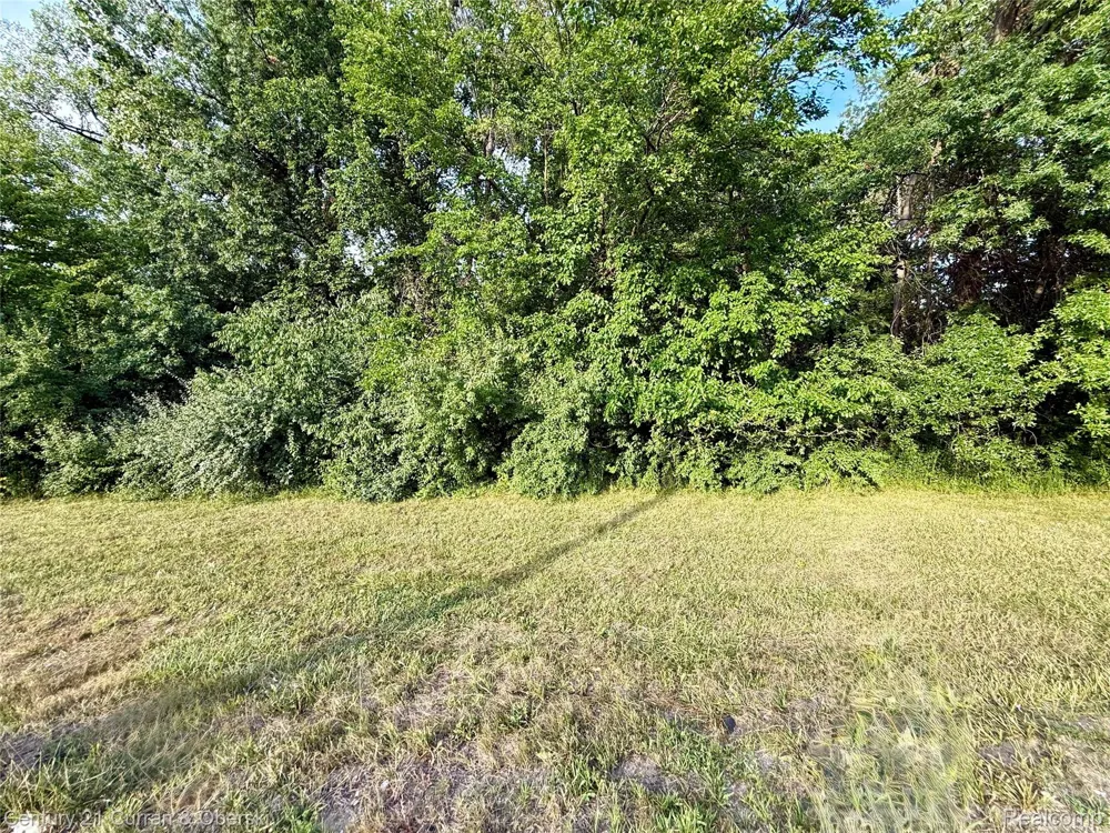 1 Wayne Romulus City, MI 48174