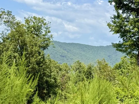 Lot 31 Grand Laurel