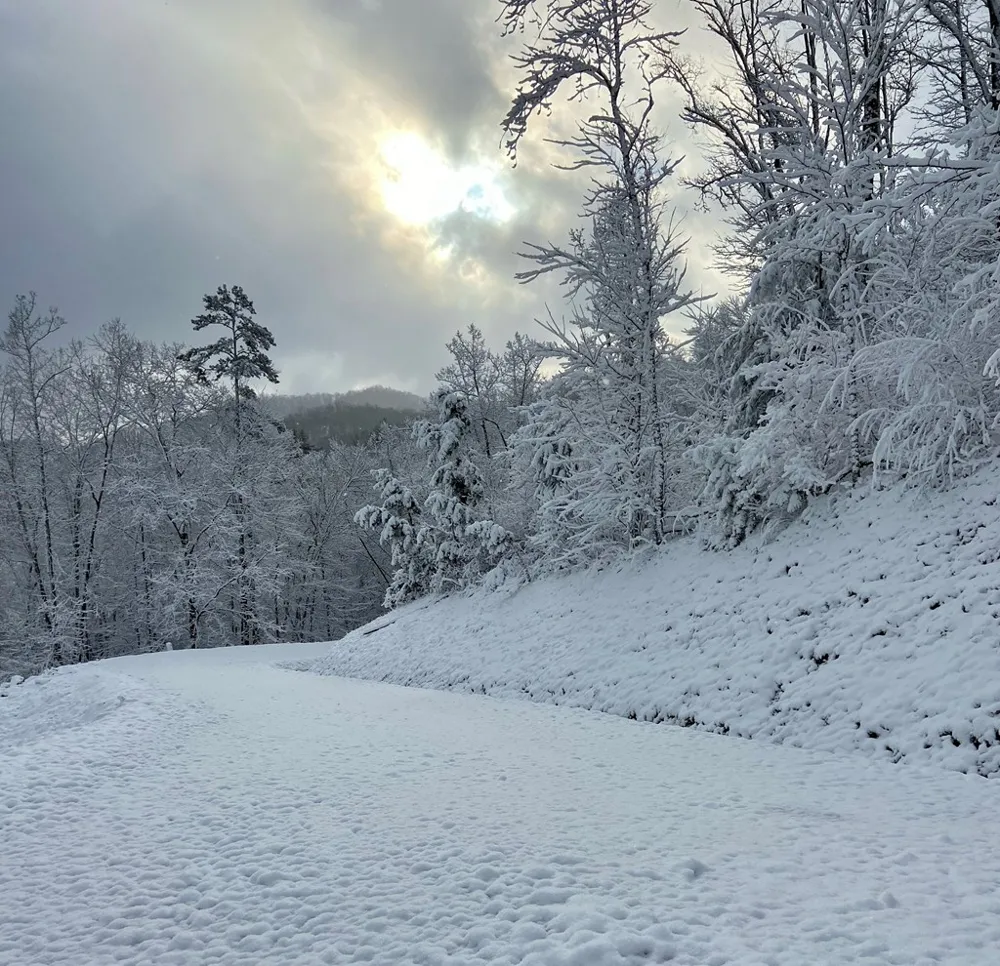 Lot 31 Grand Laurel Brasstown, NC 28902