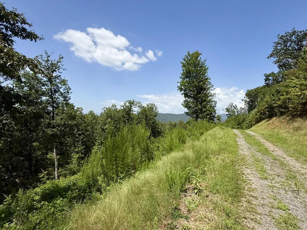 Lot 31 Grand Laurel Brasstown, NC 28902