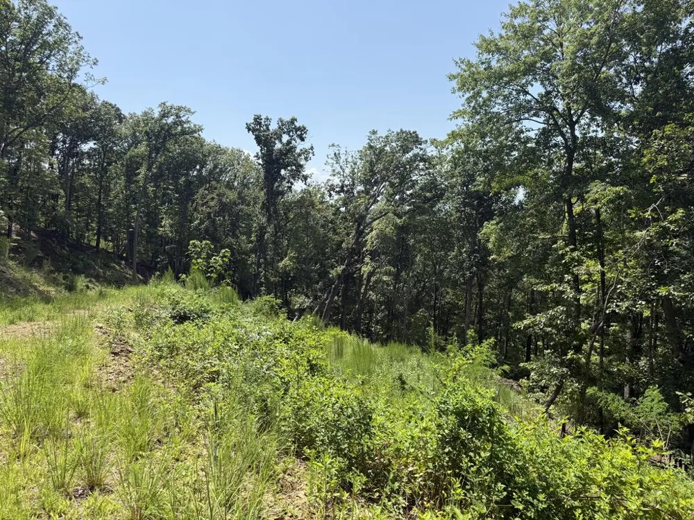 Lot 31 Grand Laurel Brasstown, NC 28902