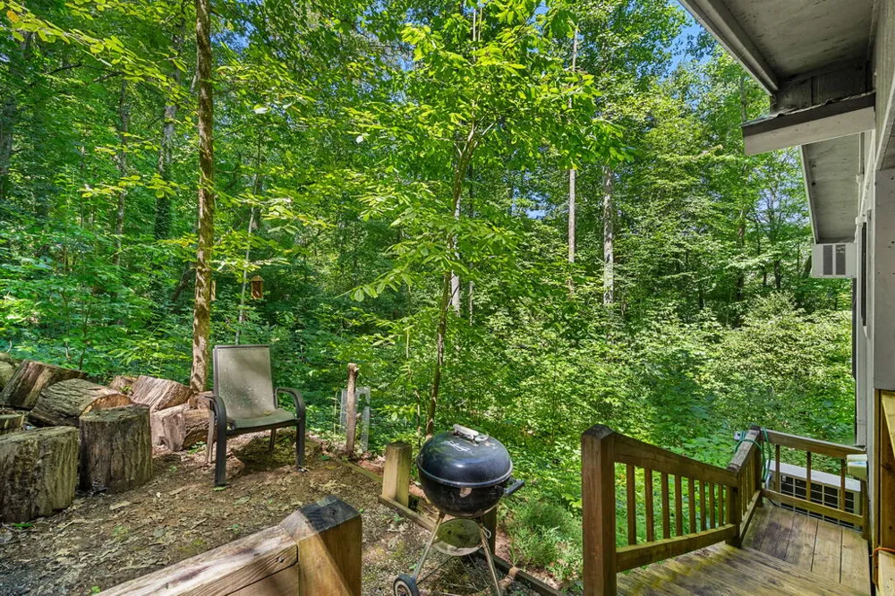 231 Dogwood Circle Hayesville, NC 28904