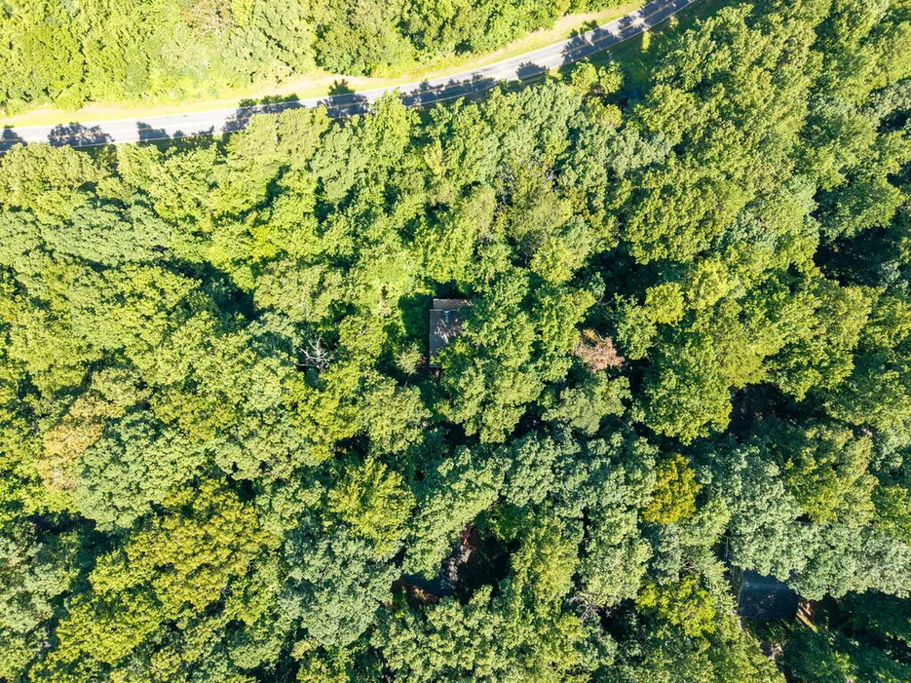 231 Dogwood Circle Hayesville, NC 28904
