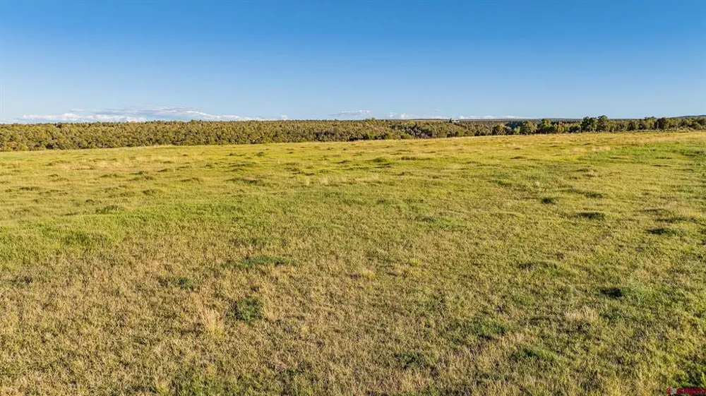 1253 3350 ROAD Crawford, CO 81415