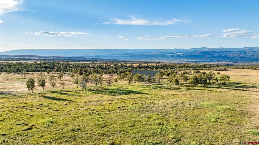 1253 3350 ROAD Crawford, CO 81415