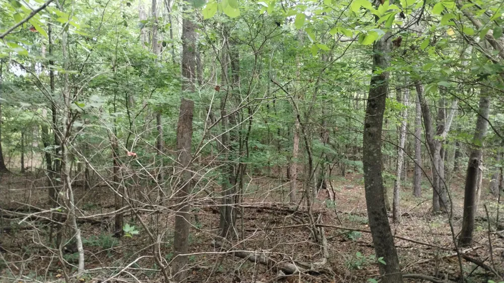 Houston Valley Road Ringgold, GA 30736