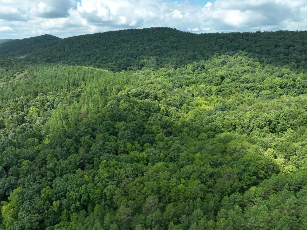 Houston Valley Road Ringgold, GA 30736