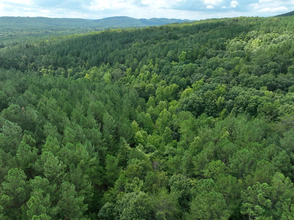 Houston Valley Road Ringgold, GA 30736