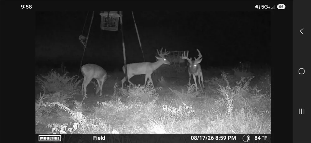234 W County Road 239 Orange Grove, TX 78372