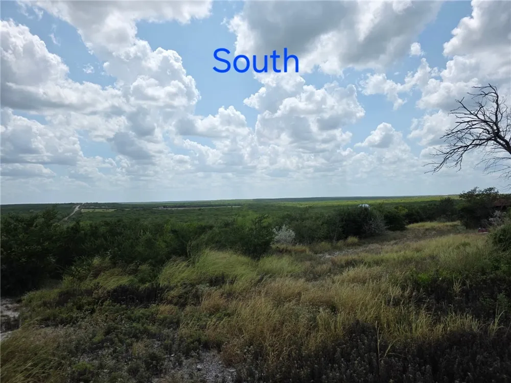 234 W County Road 239 Orange Grove, TX 78372