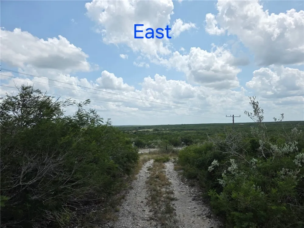 234 W County Road 239 Orange Grove, TX 78372