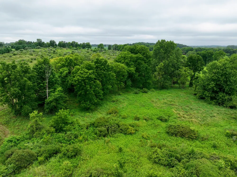 S Bradley Road Charlotte, MI 48813