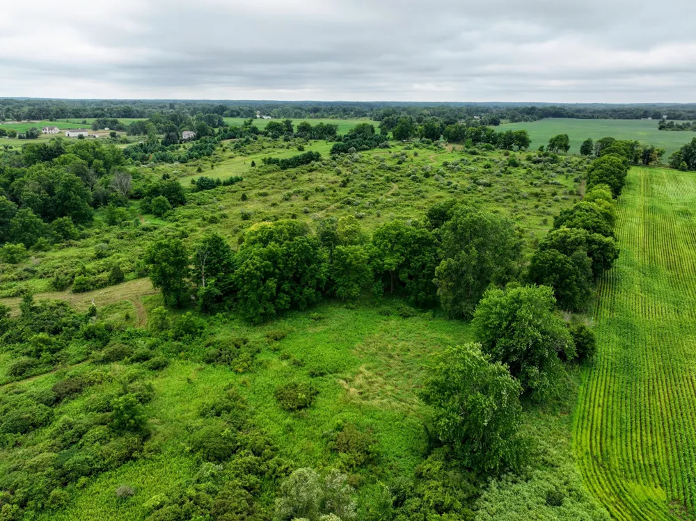 S Bradley Road Charlotte, MI 48813