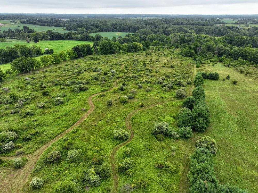 S Bradley Road Charlotte, MI 48813