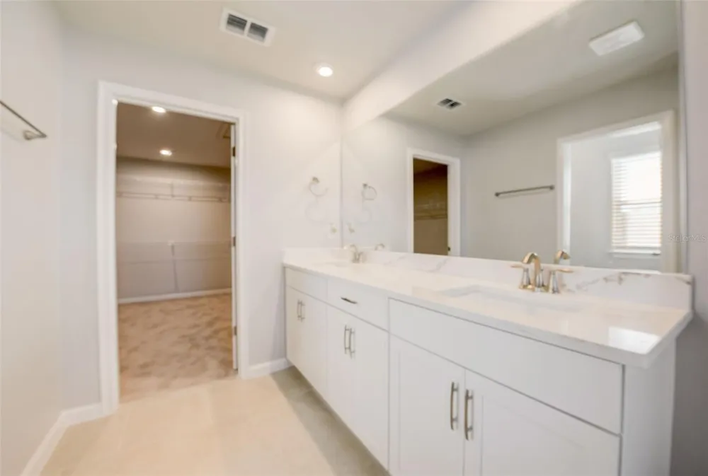 26089 WOVEN WICKER BEND Lutz, FL 33559