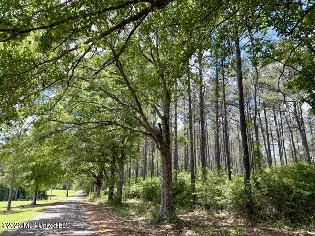 000 Old State Line Road Tylertown, MS 39667