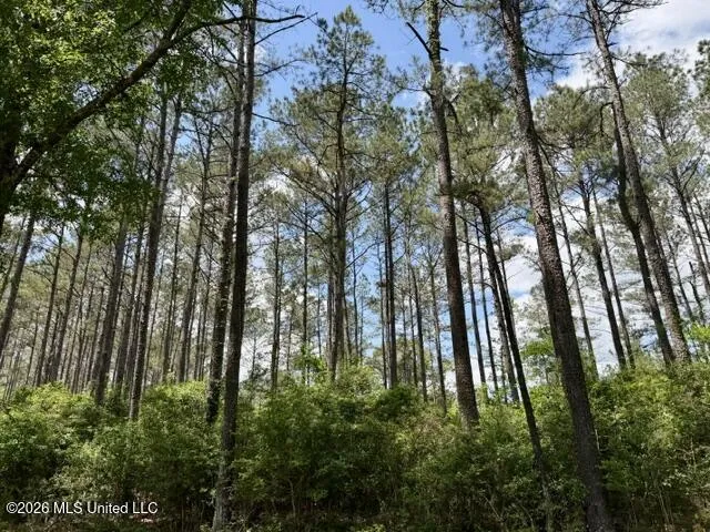 000 Old State Line Road Tylertown, MS 39667