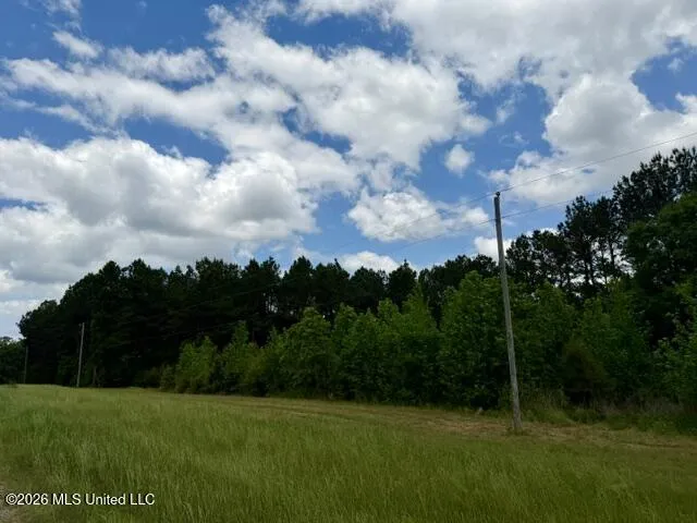 000 Old State Line Road Tylertown, MS 39667