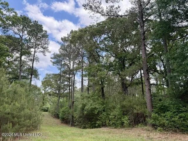 000 Old State Line Road Tylertown, MS 39667