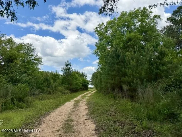 000 Old State Line Road Tylertown, MS 39667