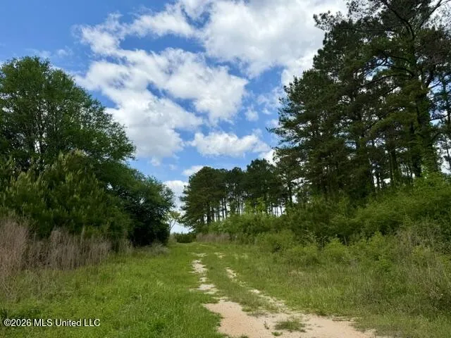 000 Old State Line Road Tylertown, MS 39667