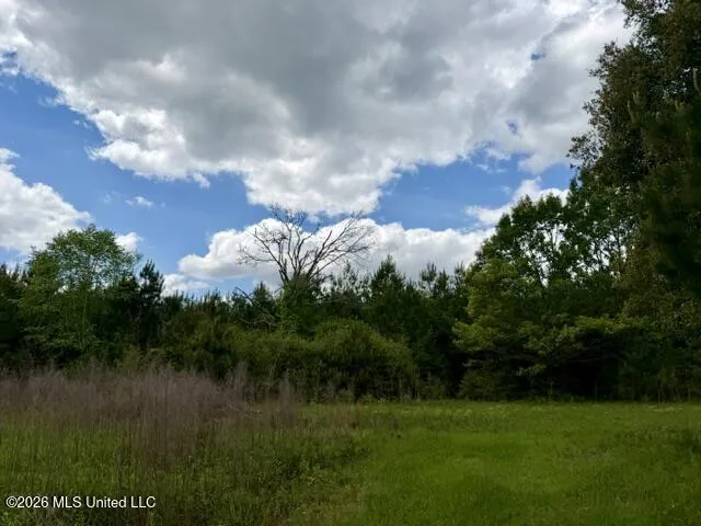000 Old State Line Road Tylertown, MS 39667