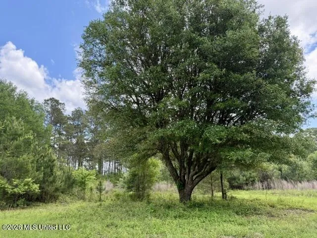 000 Old State Line Road Tylertown, MS 39667
