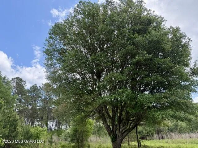 000 Old State Line Road Tylertown, MS 39667