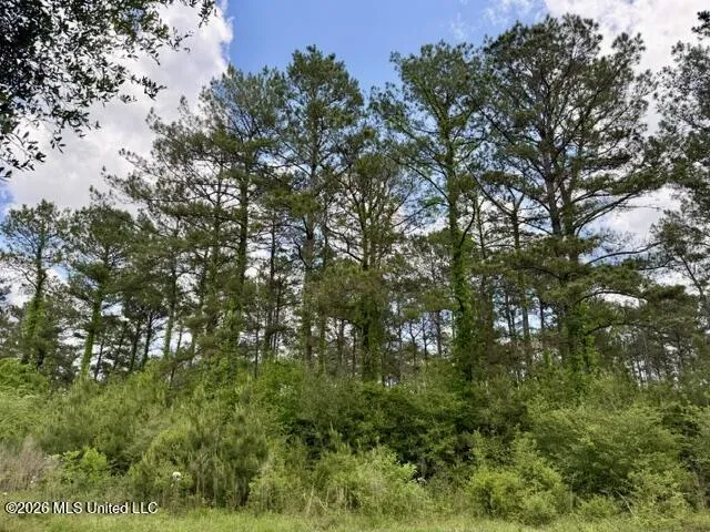 000 Old State Line Road Tylertown, MS 39667