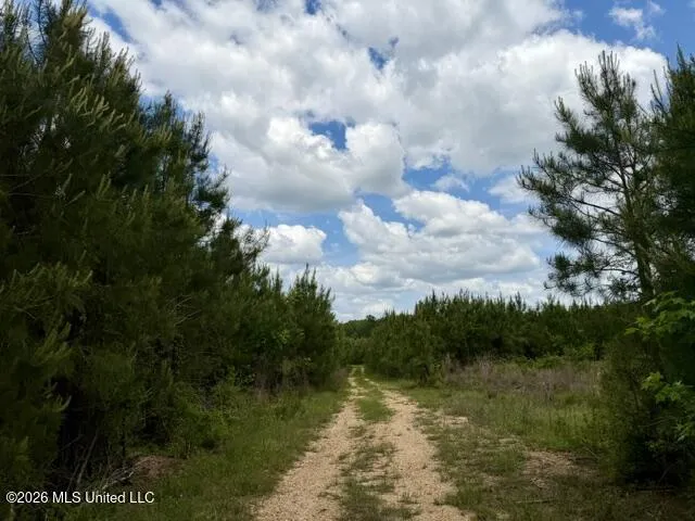 000 Old State Line Road Tylertown, MS 39667