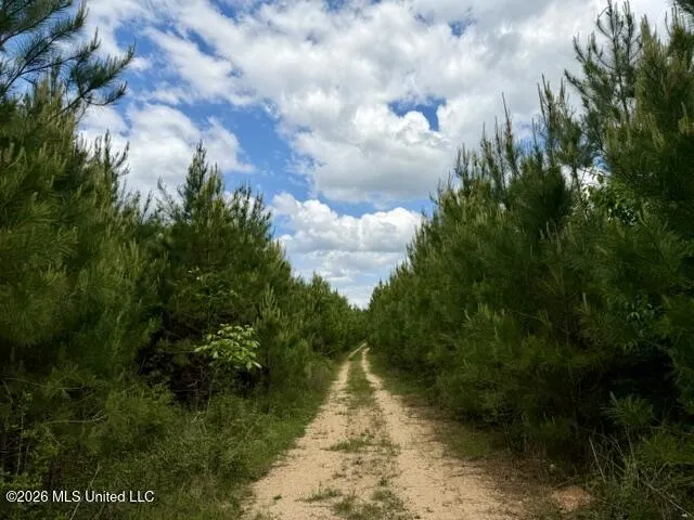 000 Old State Line Road Tylertown, MS 39667