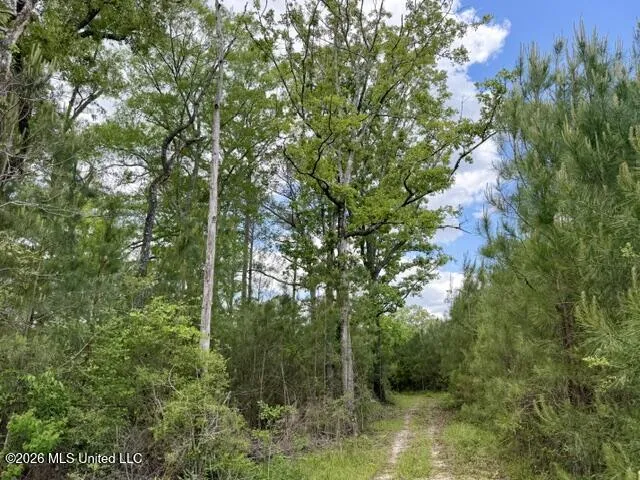 000 Old State Line Road Tylertown, MS 39667