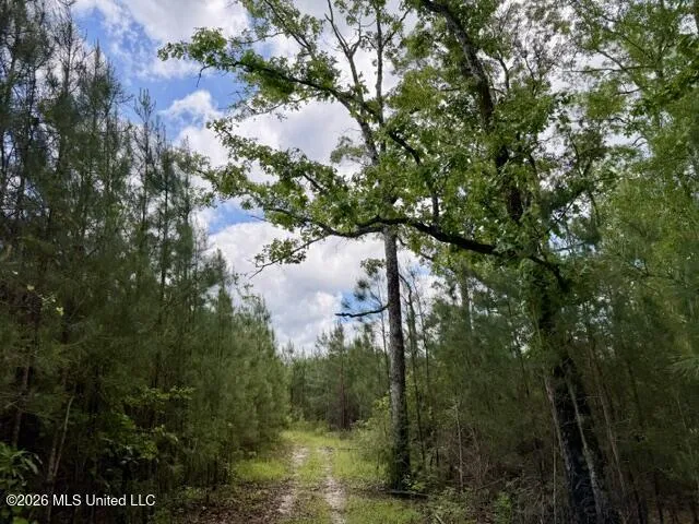 000 Old State Line Road Tylertown, MS 39667