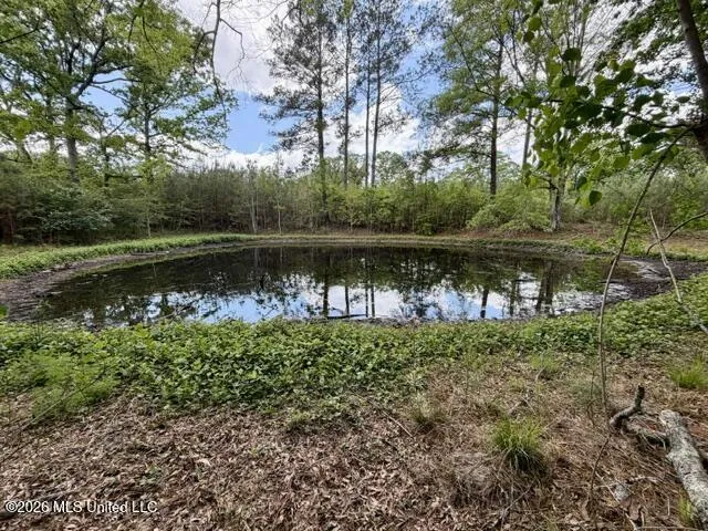 000 Old State Line Road Tylertown, MS 39667